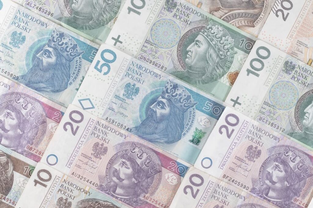 closeup of Polish bank notes