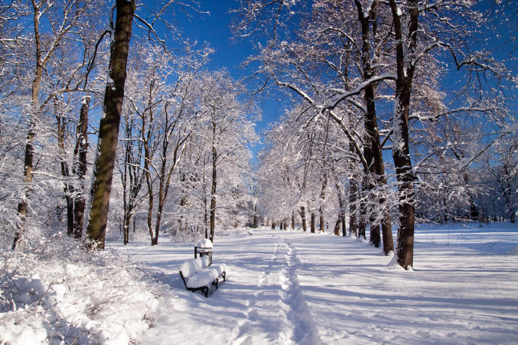 snowy park in Warsaw, Poland