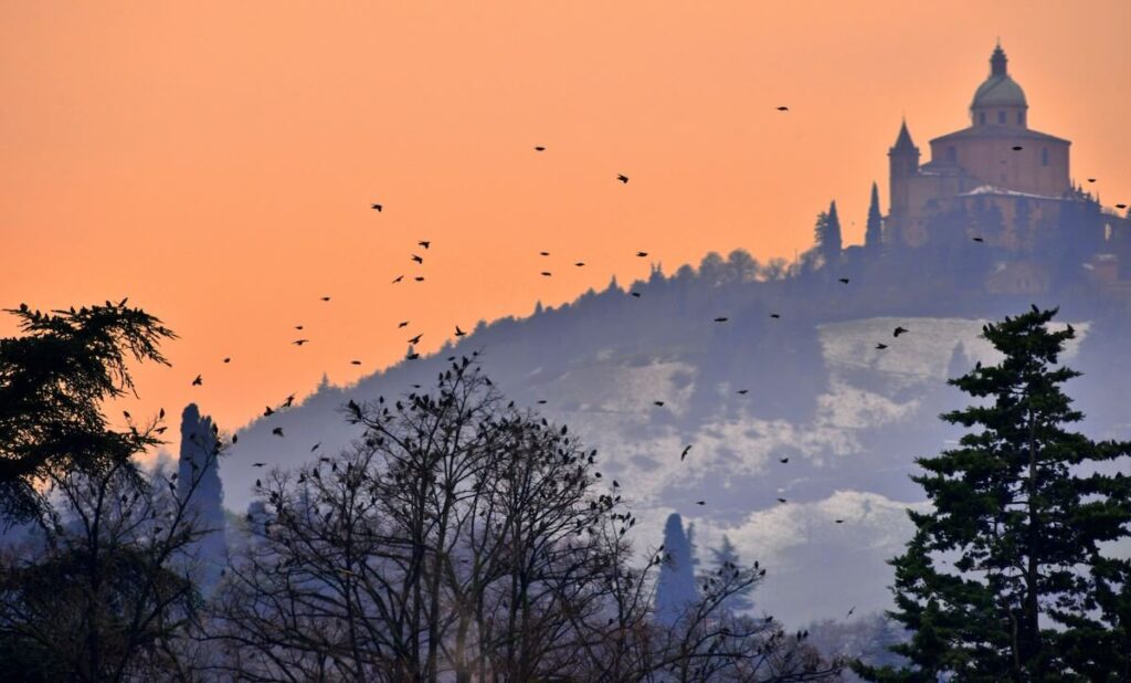 sanctuary of madonna di san luca from afar