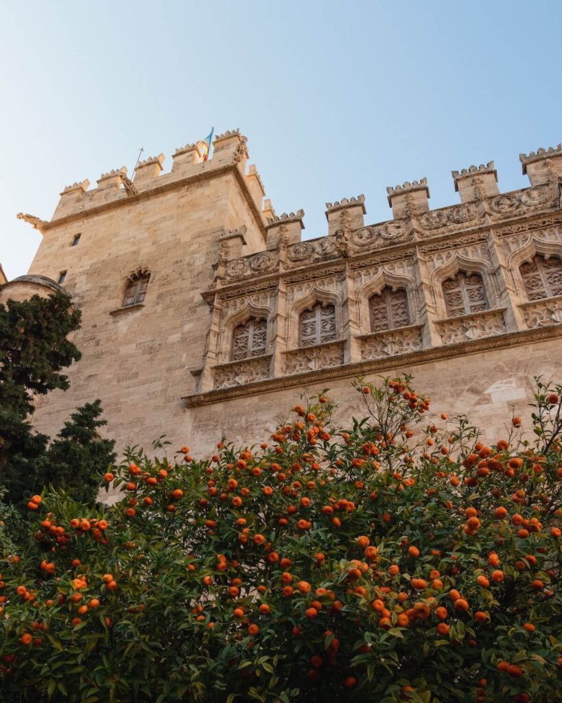 orange trees surrounding a fort in Valencia, Spain