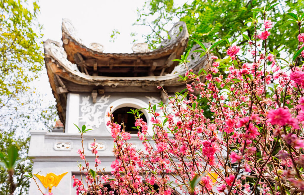 peach flowers with temple in the background