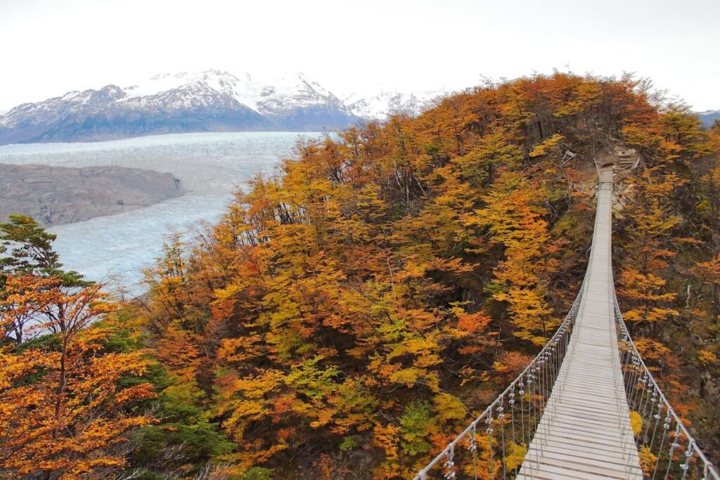 autumn foliage of Torres del Paine, Chilean Patagonia