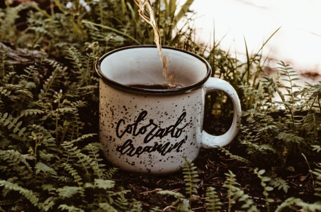 Colorado dreamin’ mug in leaves