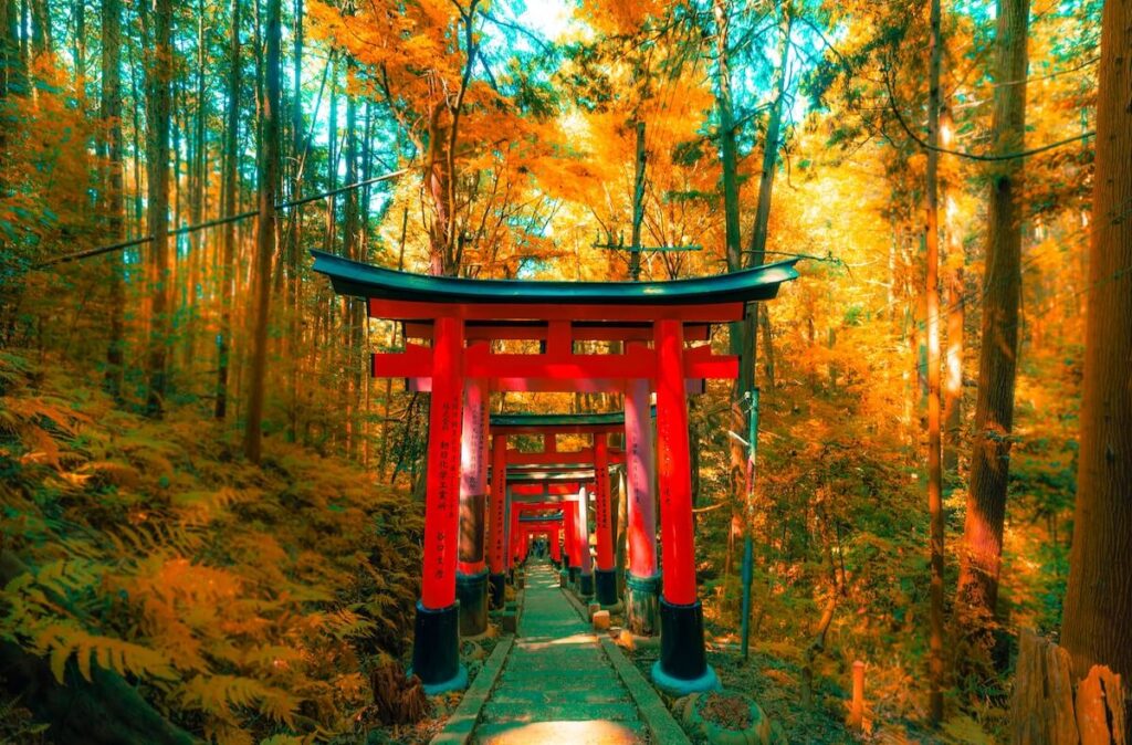 Fushimi Inari Taisha Shinto gate at daytime