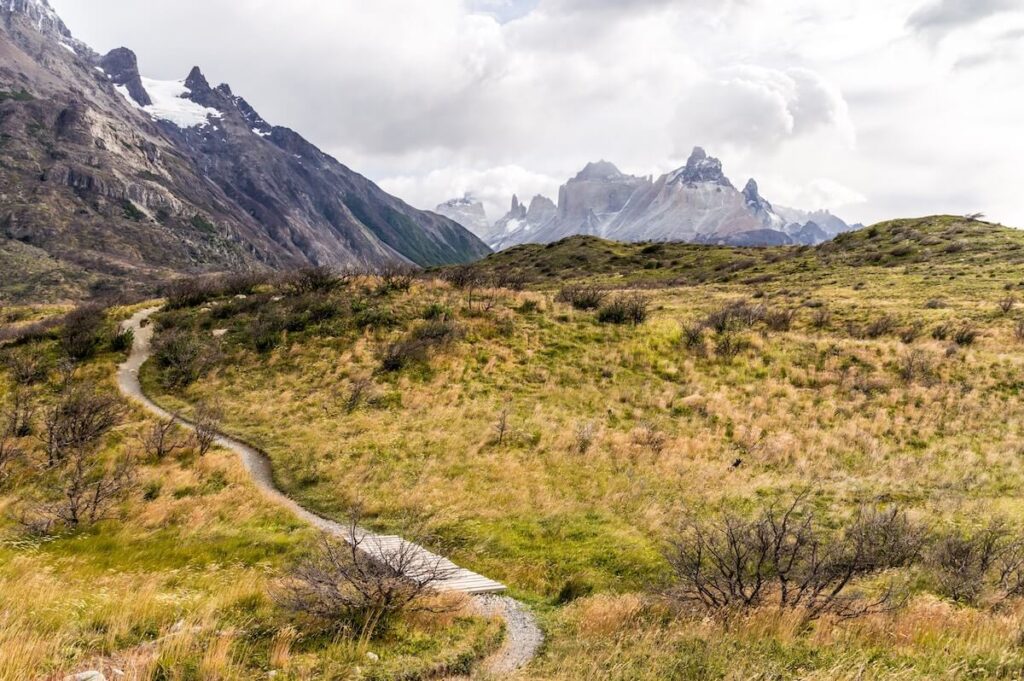 trail across grassland in Chilean Patagonia