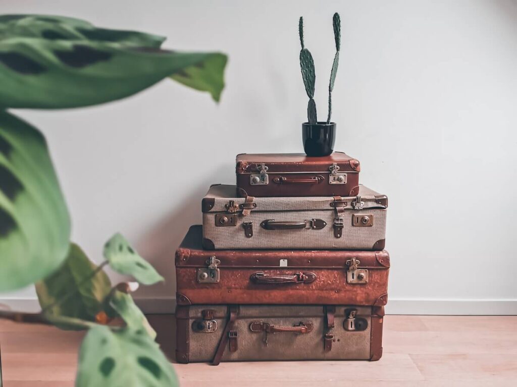 vintage suitcases with a pot of cactus on top