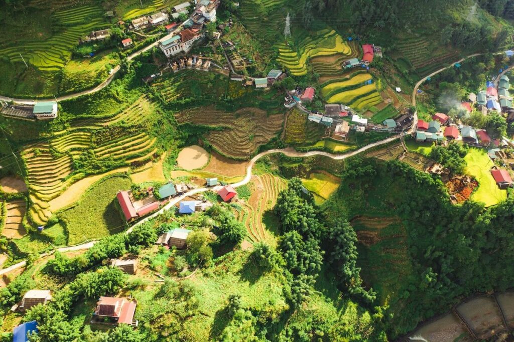 aerial view of Sapa rice fields