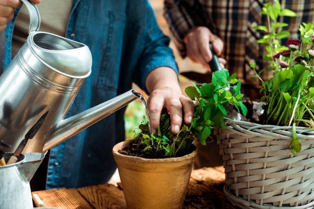 woman watering plants in pots