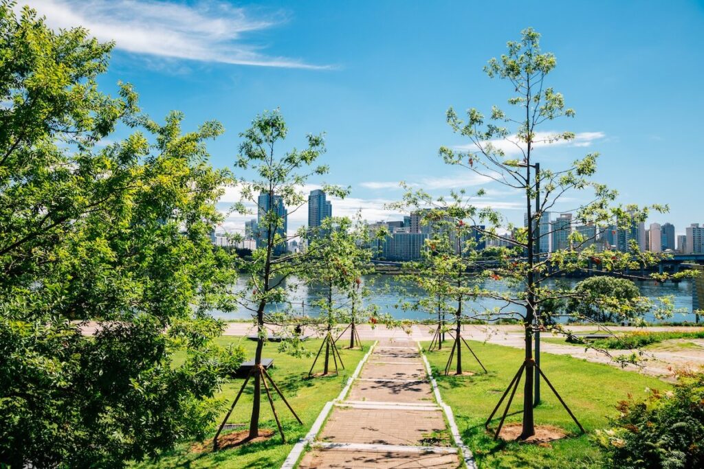 Han River Park