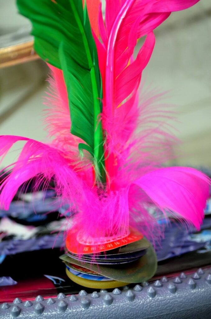 close up of da cau or Vietmamese shuttlecock