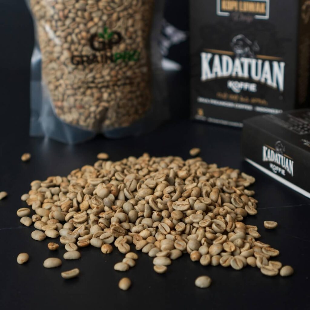 kopi luwak beans