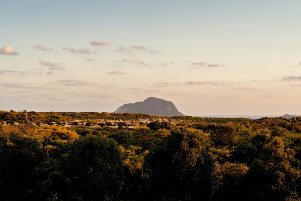 Mount Hallasan Park in Jeju