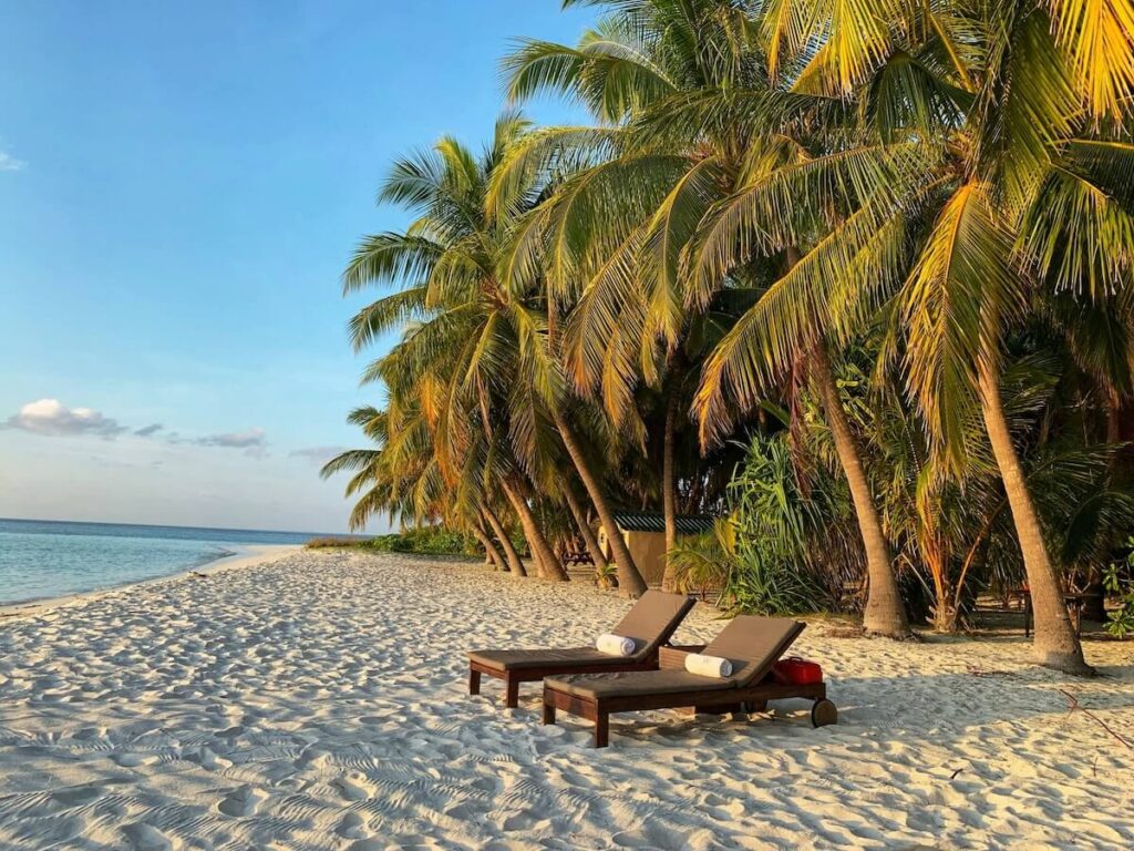 white sand beach in the Maldives