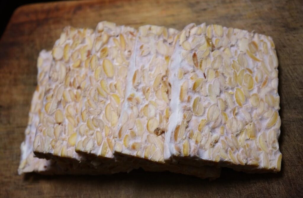 tempeh, a traditional Indonesian food