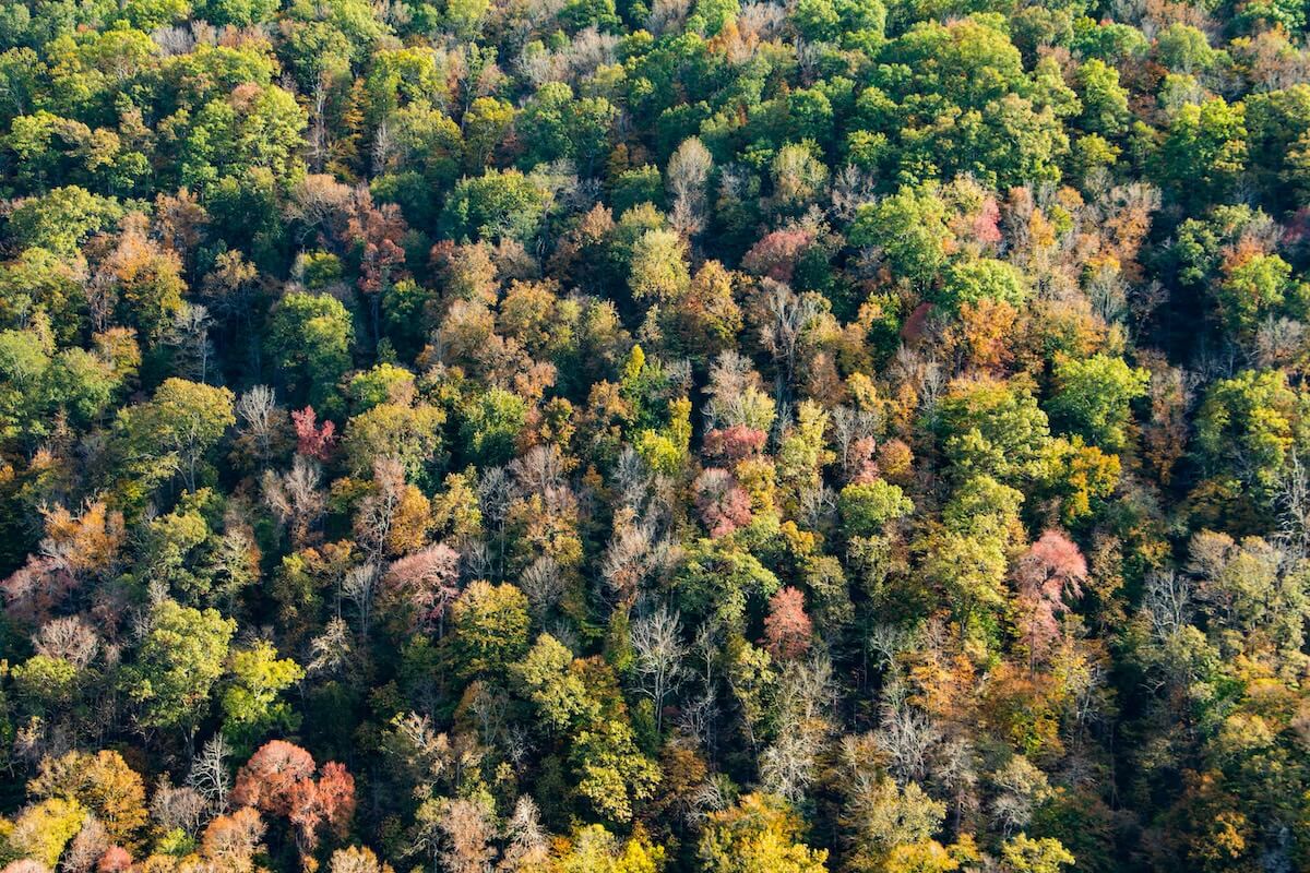 25 Things Arkansas is Known and Famous For