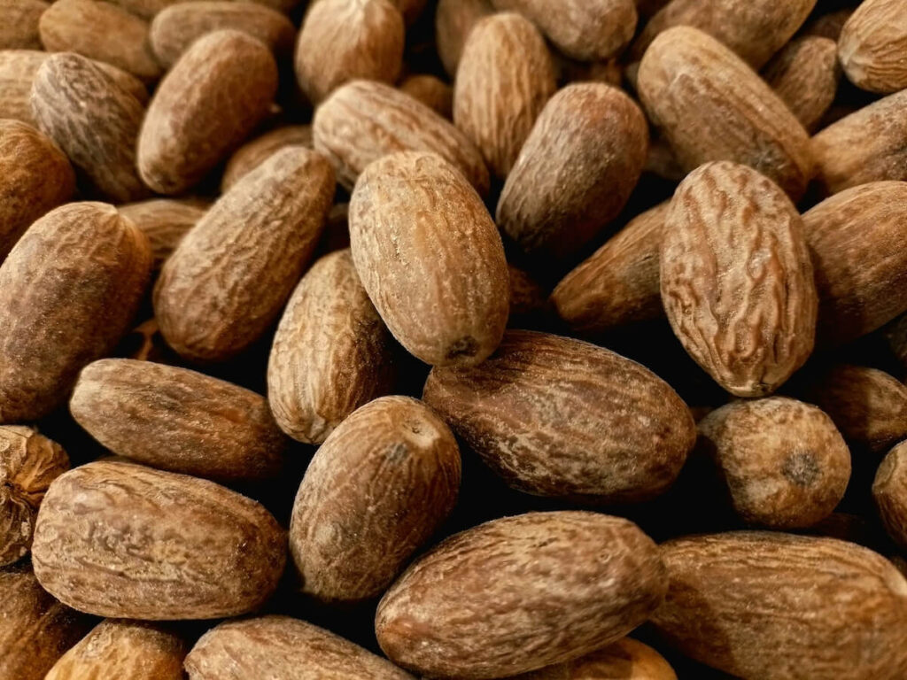 close-up of nutmegs