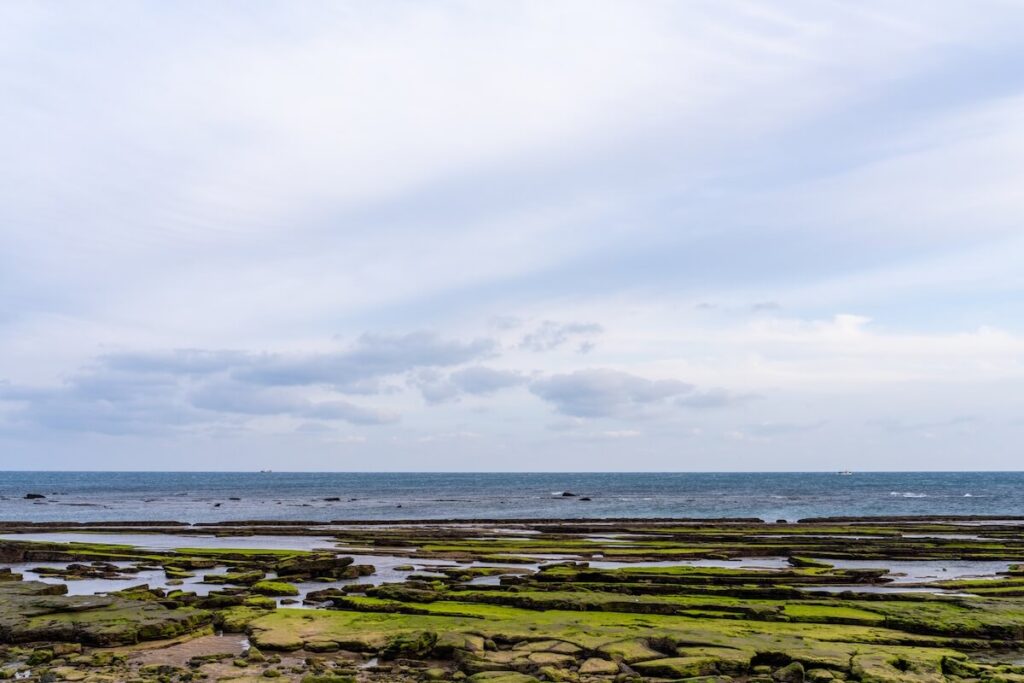 mossy rocks at the Gwangchigi Beach