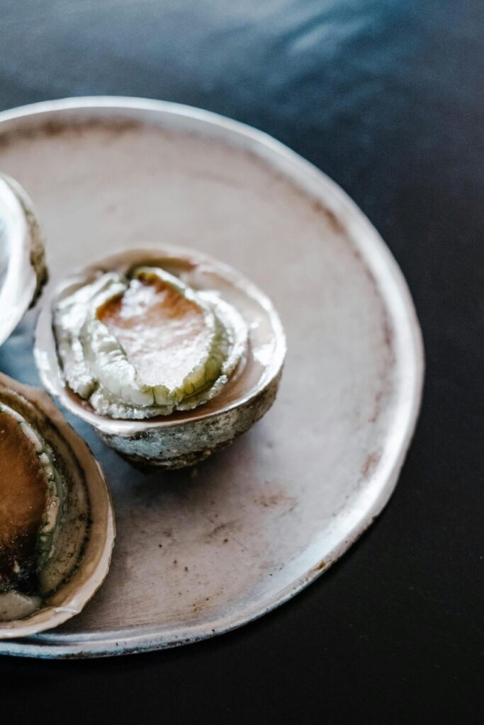 closeup of abalone