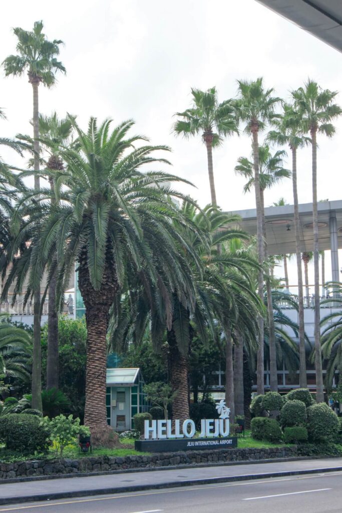 palm trees and Jeju International Airport sign