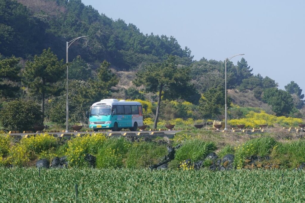 bus traveling through Jeju road