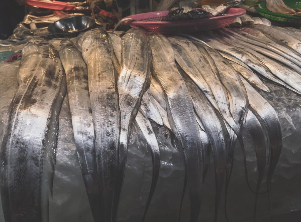 hairtail fish for sale in Jeju market