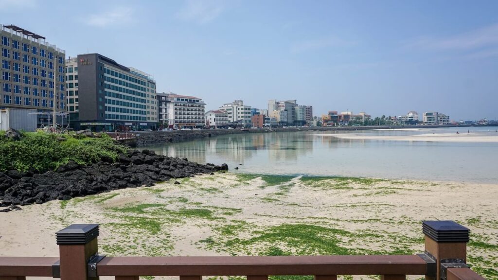 hotels and buildings near shore in Jeju
