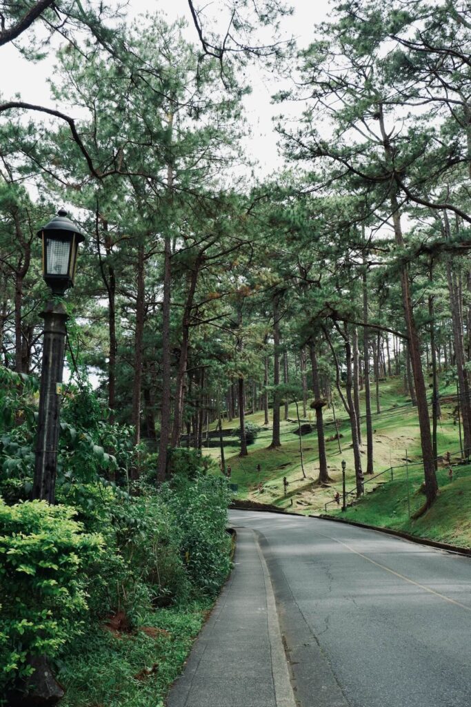 empty road in Camp John Hay, Baguio
