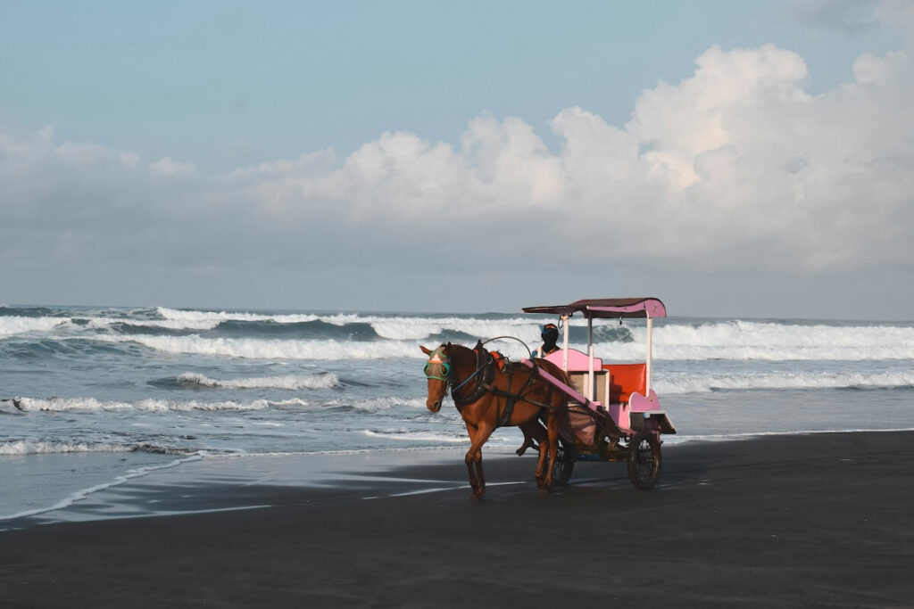horse cart in Parangtritis Beach in Yogyakarta