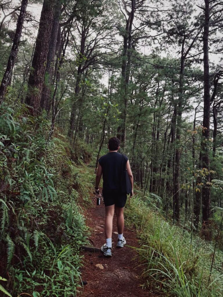 man walking through tree-lined trail in Camp John Hay in Baguio