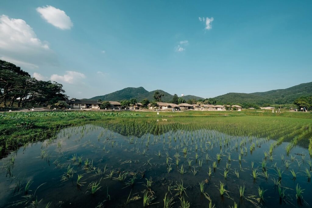 folk village in Korea with rice fields and mountain view