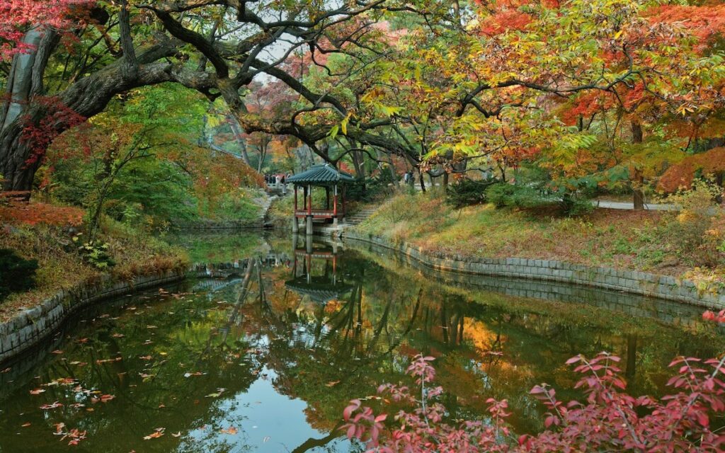 Secret Garden at Changdeokgung Palace